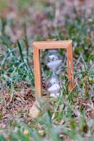 Hourglass in the grass photo