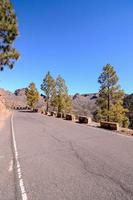 Road through the scenic landscape photo