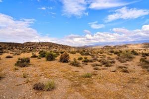 Desert landscape in summer photo