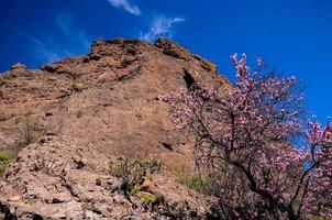 paisaje rocoso en verano foto