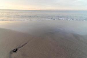 Abandoned sandy beach photo