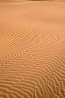 Sand dunes in the desert photo