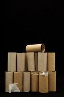 Toilet paper rolls photo
