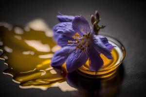 Homemade and tasty fried lilac flower in sunflower oil photography photo