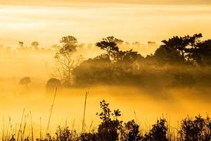 Thung Salaeng Luang National Park,The sun over the mountains and vast grasslands, Phetchabun Province, Thailand photo