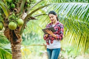Portrait of Happy Asian young  farmer woman check quality of coconut in farm and using tablet computer to take orders online for customers. Agricultural and technology concepts. photo