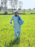 Pakistan farmer spreading fertilizer in the agriculture field photo