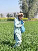 Pakistan farmer spreading fertilizer in the agriculture field photo