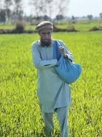 Pakistan farmer spreading fertilizer in the agriculture field photo