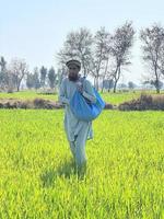 Pakistan farmer spreading fertilizer in the agriculture field photo