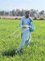 Pakistan farmer spreading fertilizer in the agriculture field photo