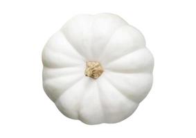 2788 White pumpkin isolated on a transparent background photo