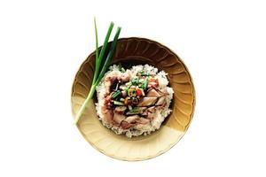 3158 Duck rice with meat and vegetables isolated on a transparent background photo