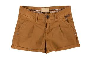 6166 marrón pantalones cortos aislado en un transparente antecedentes foto