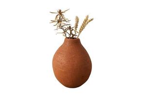 52 Clay vase with dried plants isolated on a transparent background photo