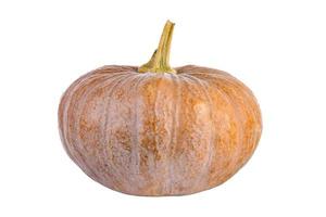 1155 Pumpkin vegetable isolated on a transparent background photo