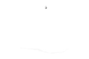 1243 White photo isolated on a transparent background