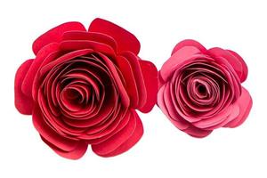 1503 Red flowers isolated on a transparent background photo