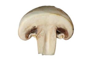 3204 Sliced mushroom isolated on a transparent background photo