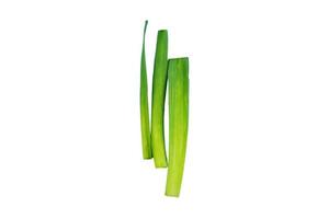 3346 Green onion isolated on a transparent background photo