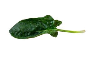 3569 Fresh spinach leaf isolated on a transparent background photo