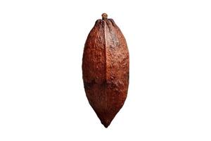 3806 Cocoa fruit isolated on a transparent background photo