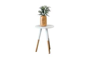 193 White side table with a flowerpot and plant isolated on a transparent background photo