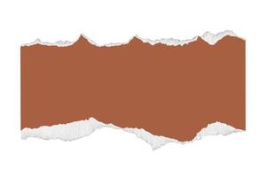 3009 Brown torn paper isolated on a transparent background photo