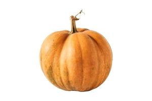 4110 Orange pumpkin isolated on a transparent background photo