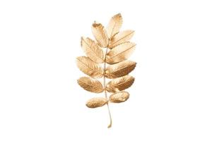 4864 Golden leaf isolated on a transparent background photo