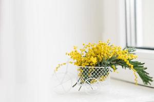 Small sprigs of mimosa stand in a souvenir bicycle in the style of Provence on a white windowsill in spring. The concept of the beginning of spring photo