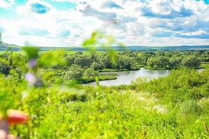 A warm sunny day. Field, grass. The shore of a quiet river. photo