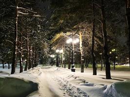 Winter snow-covered Christmas scene with a pine tree. Spruce large branches covered with frost. Calm blurred background of winter time with flakes of snow. photo