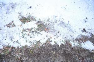 Winter snow-covered Christmas scene with a pine tree. Spruce large branches covered with frost. Calm blurred background of winter time with flakes of snow. photo