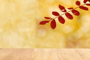 Autumn yellow leaves of ash tree in autumn park. Defocus eco background photo
