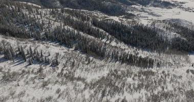 Tilting Boom Shot of the Rocky Mountains Outside of Steamboat Springs video