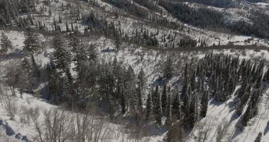 Tilting shot of the Rocky Mountains Outside of Steamboat Springs video