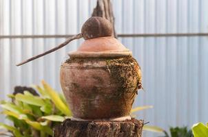 Dipper coconut shell and clay pot with  moss photo