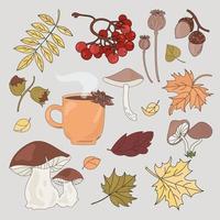 otoño bosque otoño temporada naturaleza vector ilustración conjunto