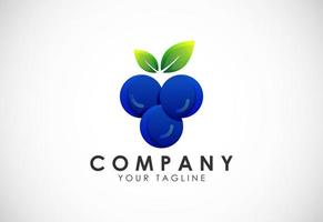 Colorful blueberry logo design template. Blueberry vectors