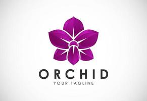 Colorful Orchid flower logo design template vector