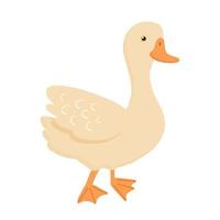 Cute cartoon duck standing. Vector illustration isolated on white background. Farm animal