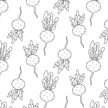 Seamless pattern with beets in doodle style. Print with vegetables, roots in a linear style. Vector illustration.