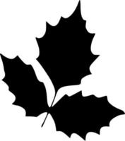 vector illustration of leaf shape