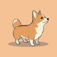 Cartoon cute corgi illustration. Isolated vector dog.