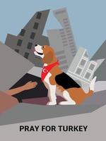 Earthquake epicenter in Turkey. Pray for Turkey. Cracks. Destructive earthquake. Turkish flag. Destroyed houses. hand sticks out from under the rubble. save people. rescuers need help. dog rescue vector