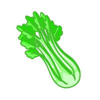 Isolated object of celery and bunch symbol. Graphic of celery and stick vector icon for Stock.