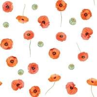 Watercolor seamless pattern with hand drawn summer bright red poppy flowers. Isolated on white background. Design for invitations, wedding, love or greeting cards, paper, print, textile vector