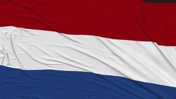 Países Bajos bandera paño quitando desde pantalla, introducción, 3d representación, croma llave, luma mate video