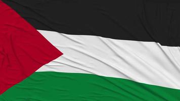 Palestine drapeau tissu enlever de filtrer, introduction, 3d le rendu, chrominance clé, luma mat video